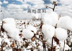 杏耀高档T恤定制使用的面料