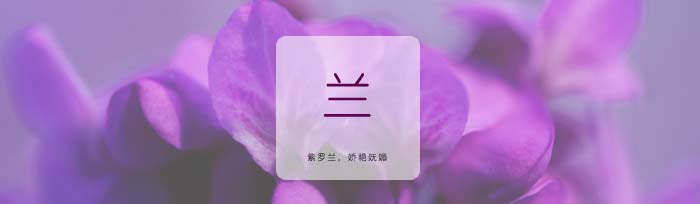 绿色杏耀短袖T恤