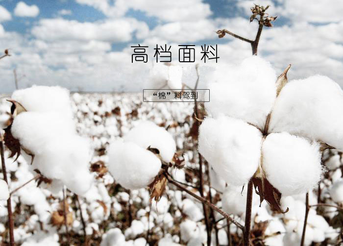 杏耀休闲T恤使用的面料