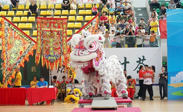 2023年粤港澳大湾区龙狮公开赛 图9