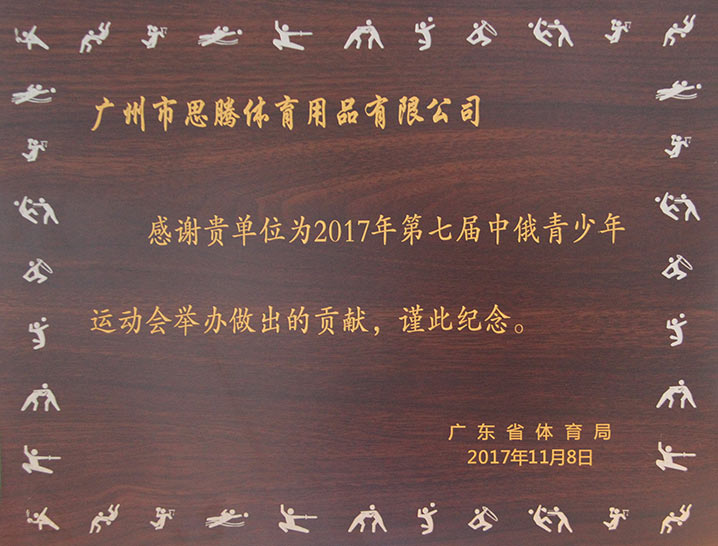 2017年中俄青少年运动会