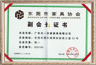 佛山市星欧注册协会副会长证书