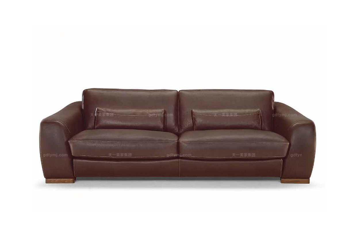 高端品牌现代意大利进口棕色双人沙发