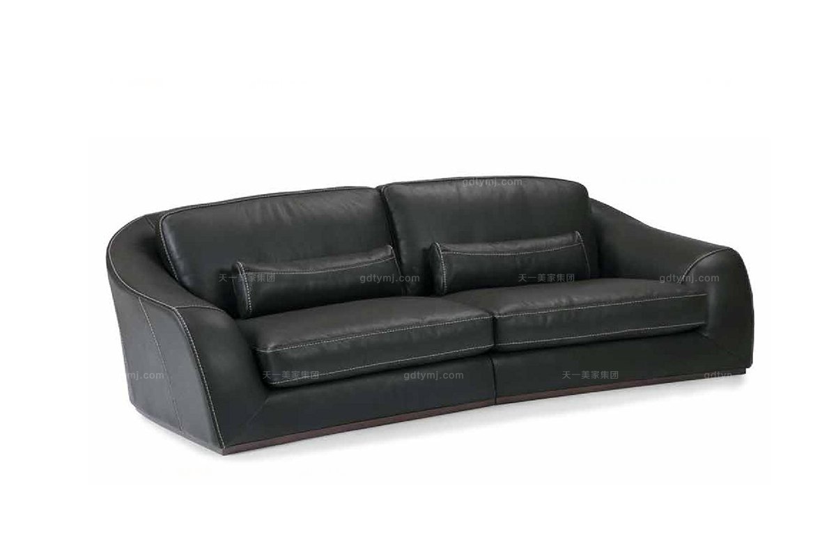 高端品牌现代意大利进口黑色二人沙发
