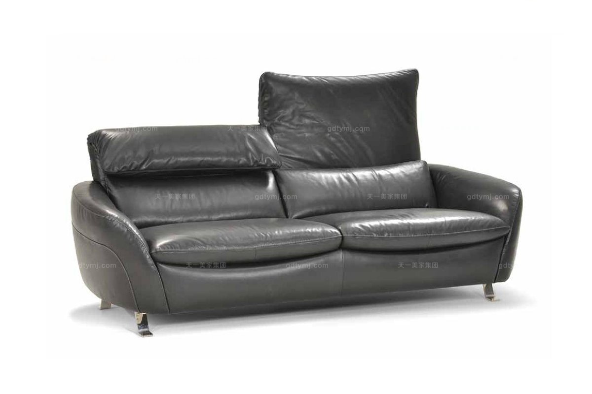 高端品牌现代意大利进口多功能真皮二人沙发