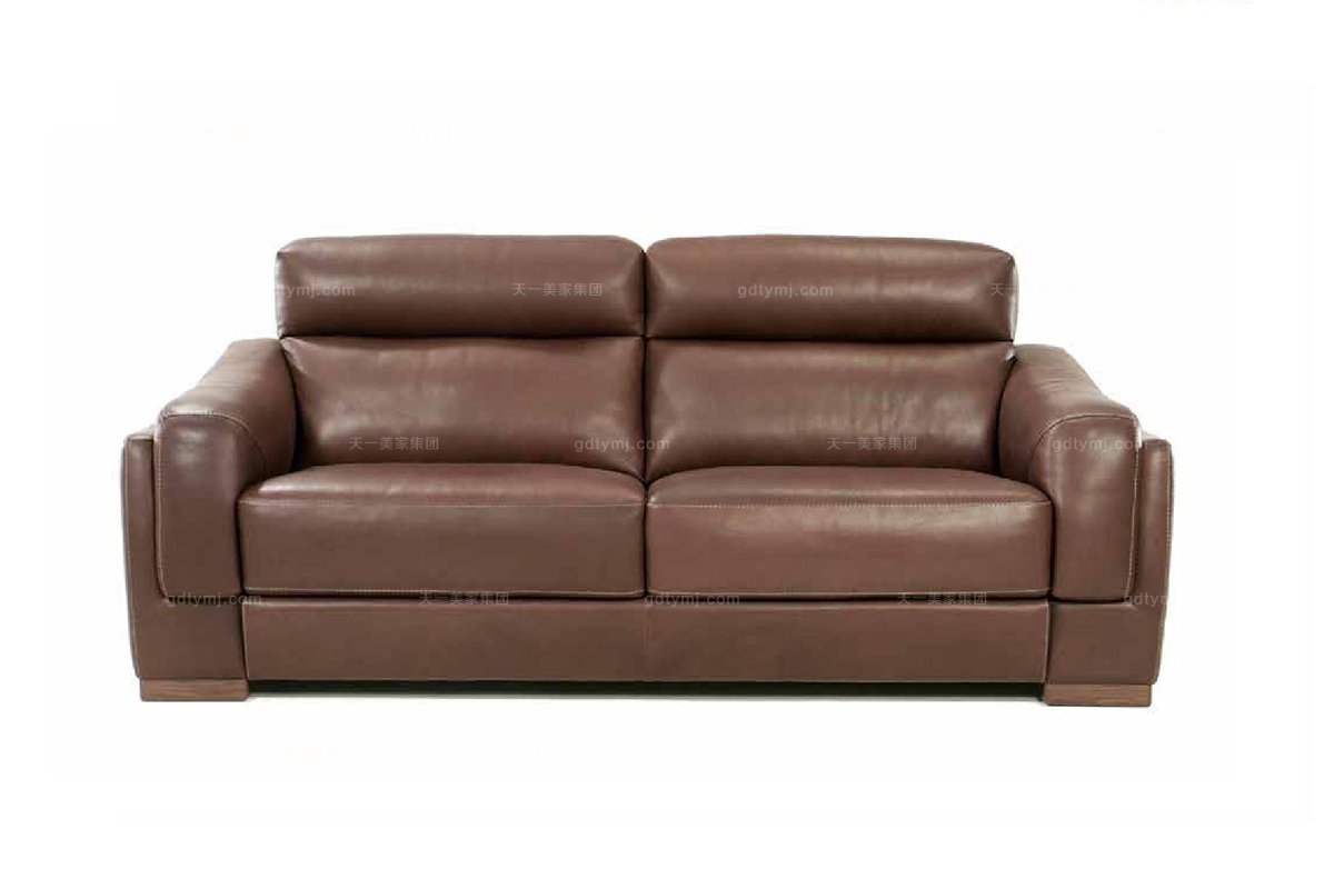 高端品牌现代意大利进口浅咖色二人沙发