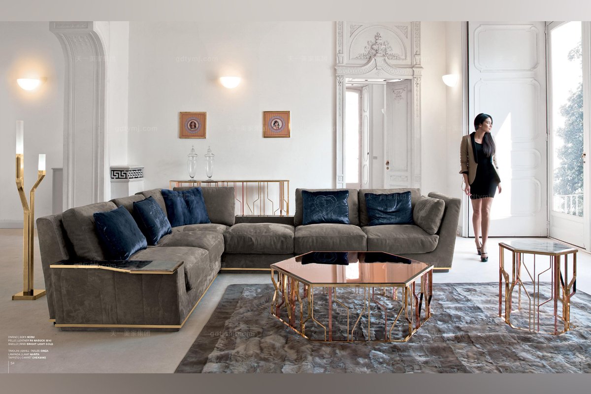 意大利进口现代星欧注册