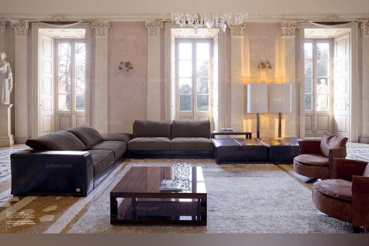 意大利进口客厅星欧注册